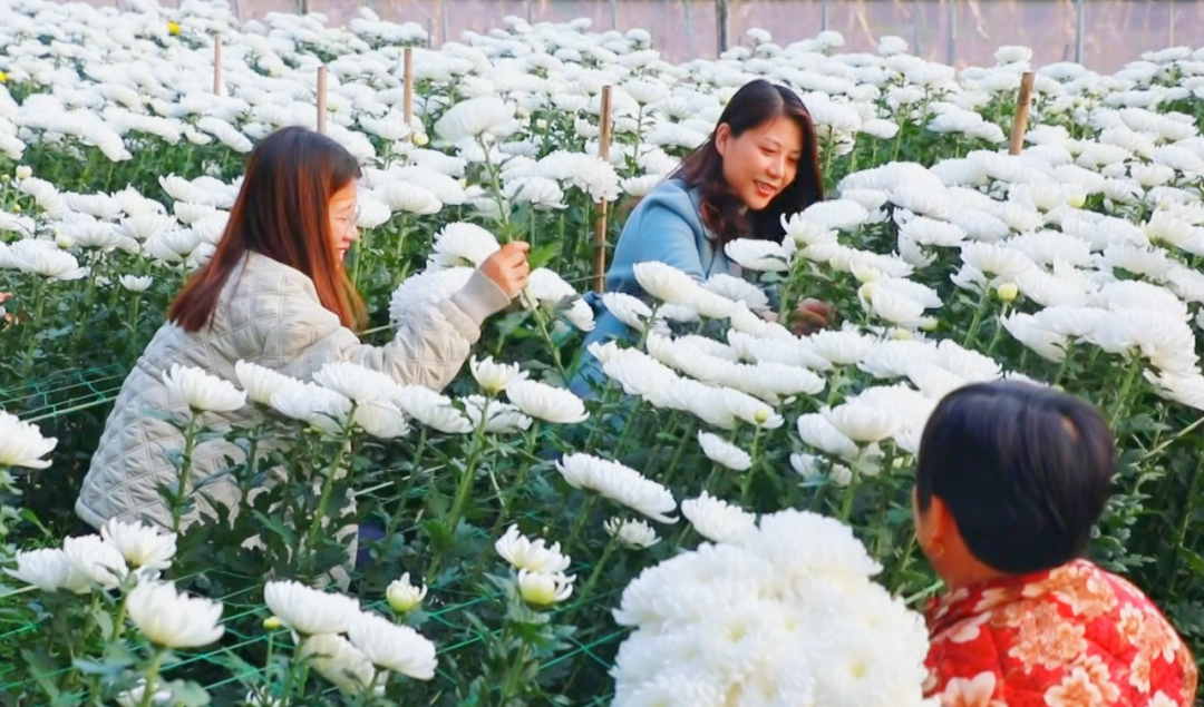 �F�ǅ^(q��)���ջ������M�ء���