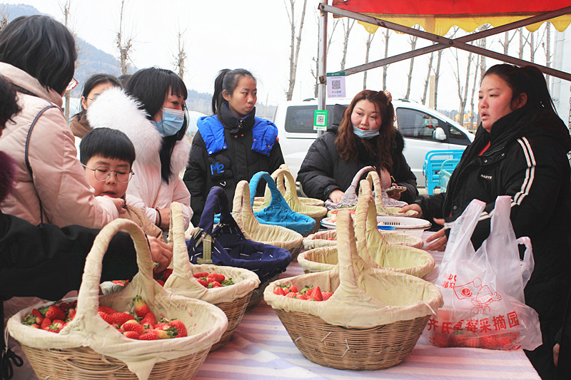 ��ݮ�h��c�´� | ���f�(zh��n)��ɽ�ڲ�ݮ��ժ��(l��)Ȥ���������w�(y��n)�e����ζ