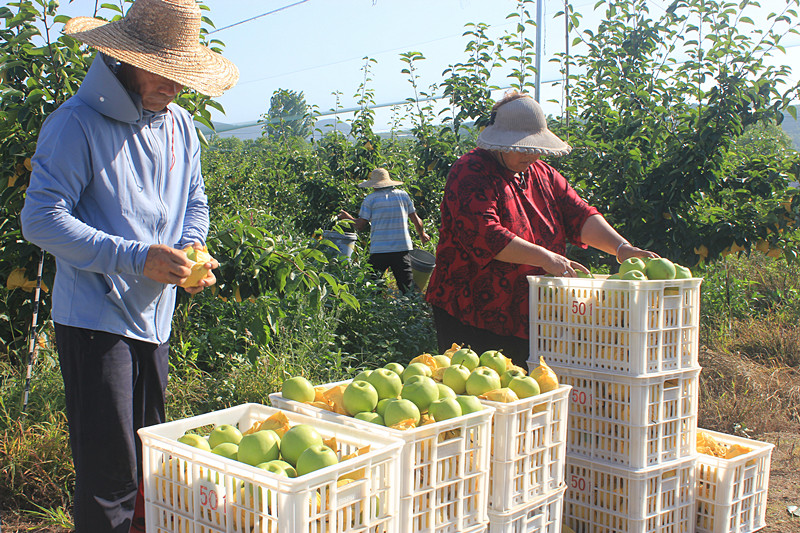 ��óԣ����Ѕ^(q��)ǰ�����@�����@������������