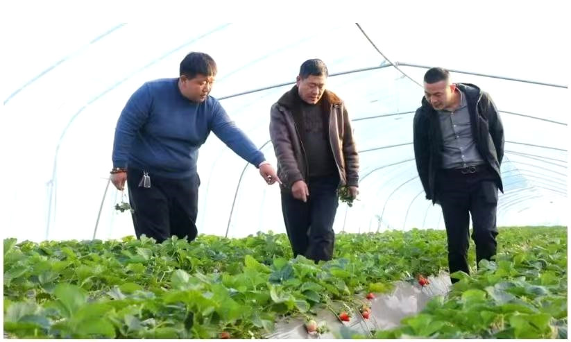 �R�Ⱥ󣺘s�@���r����������|(zh��)���l(f��)չʮ��ܳ����^�ˡ��s�u�Q̖